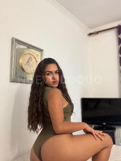  novedad latina