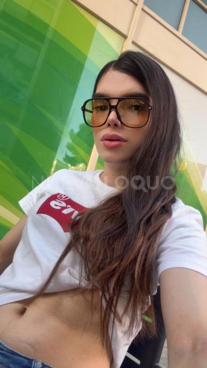 NuevoLoquo2