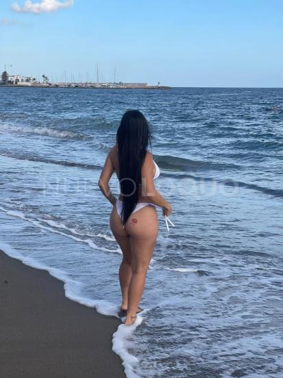 NuevoLoquo3