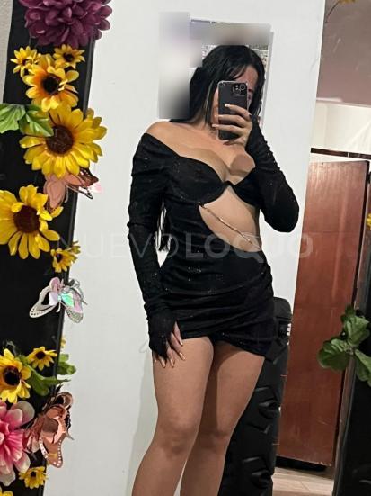 NuevoLoquo2
