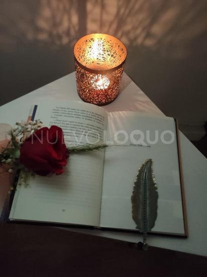 NuevoLoquo2