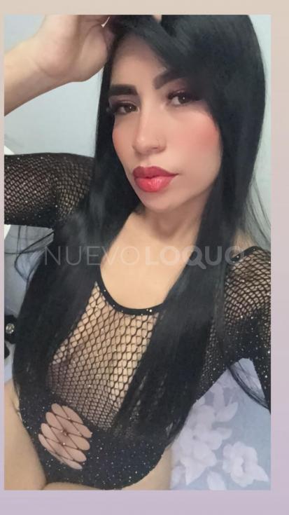 NuevoLoquo4