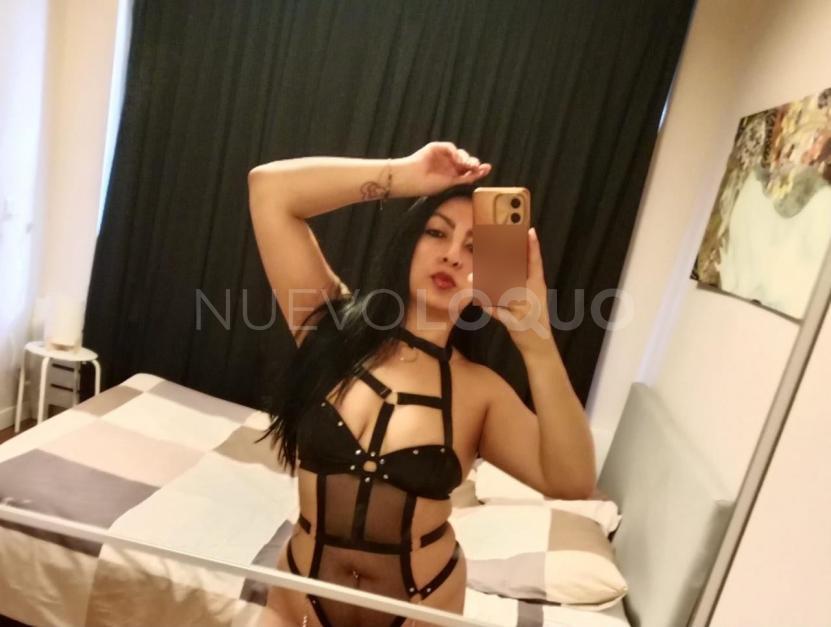 NuevoLoquo4