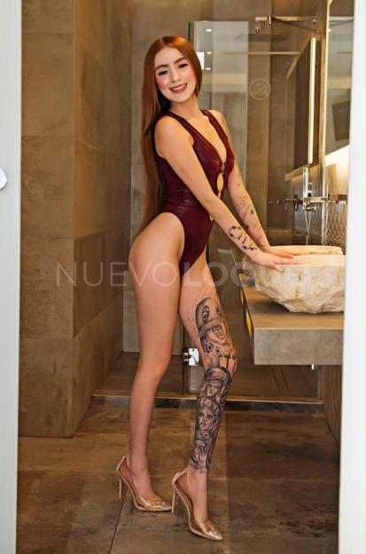 NuevoLoquo3