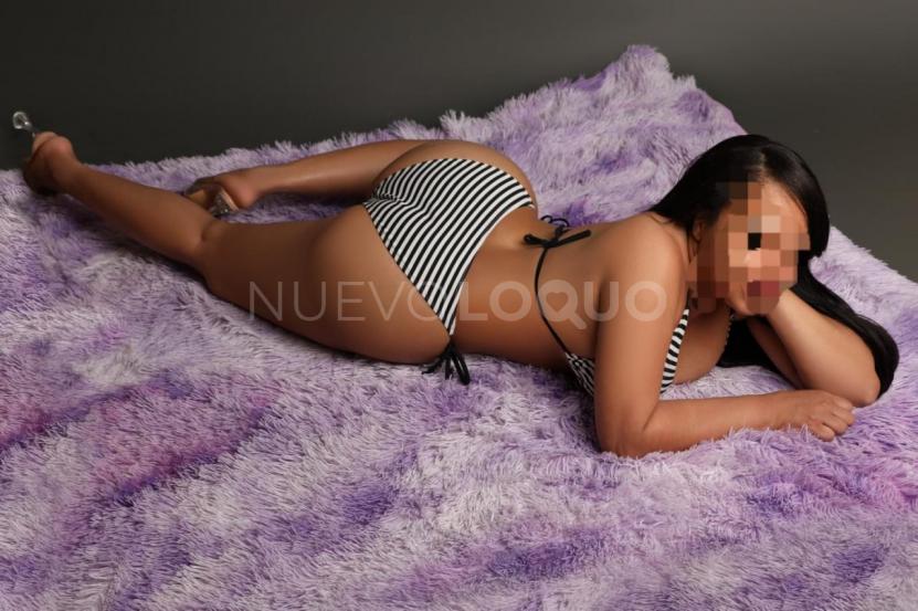 NuevoLoquo2