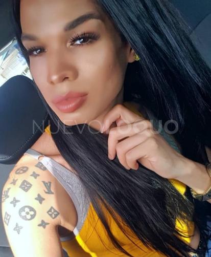 NuevoLoquo2
