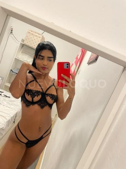 NuevoLoquo2