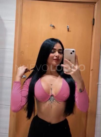 NuevoLoquo4
