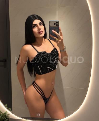  NOVEDAD TRANS BRASILERA