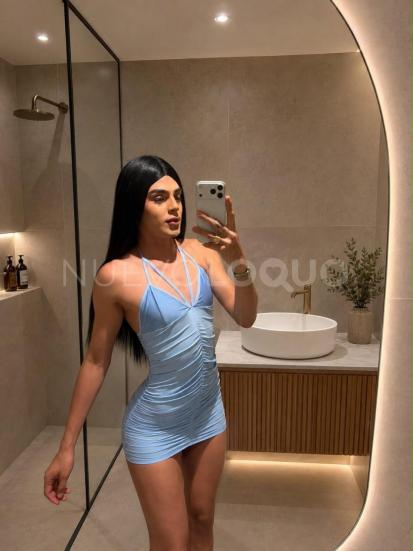 NuevoLoquo5