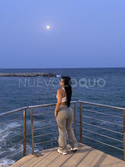 NuevoLoquo3