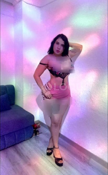 NuevoLoquo2