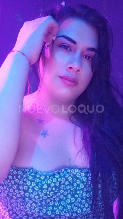 NuevoLoquo3