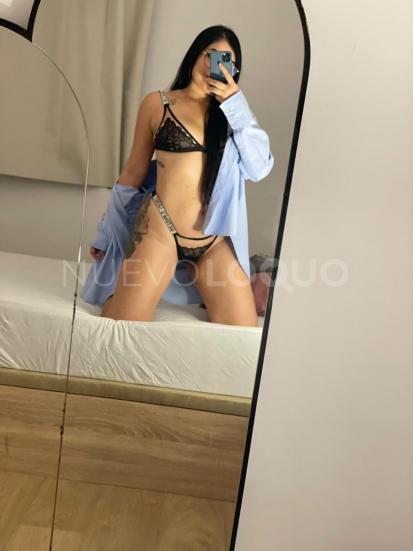 NuevoLoquo3