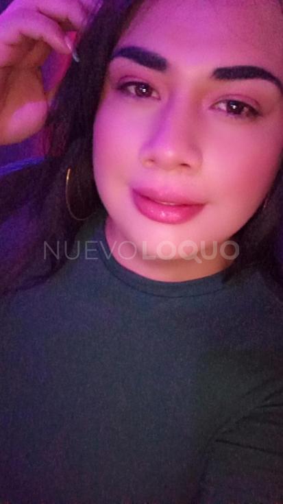 NuevoLoquo3