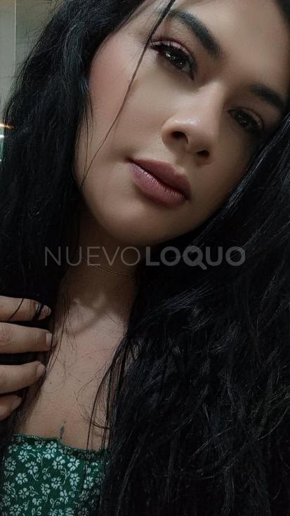 NuevoLoquo4