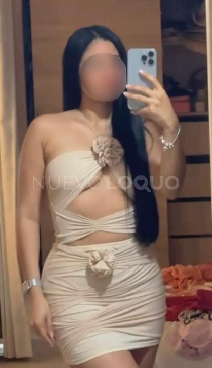 NuevoLoquo2