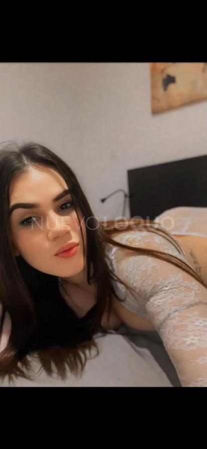 NuevoLoquo3