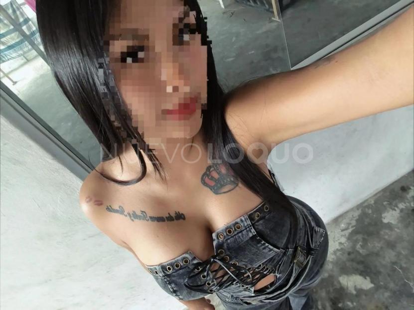 NuevoLoquo3