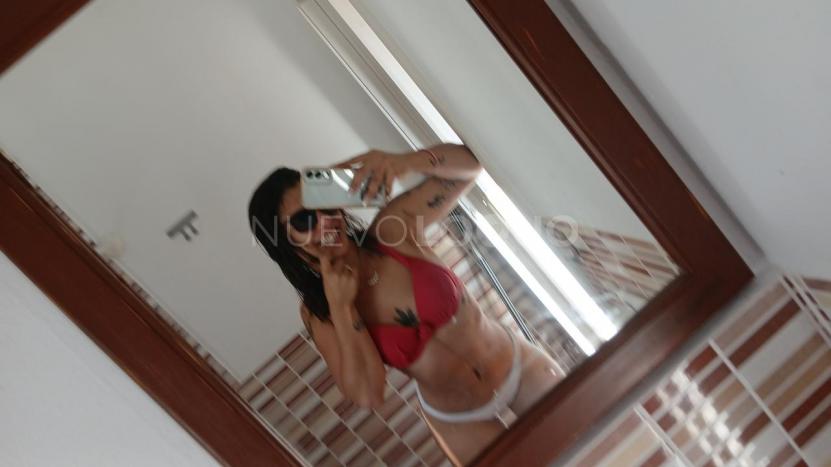 NuevoLoquo3