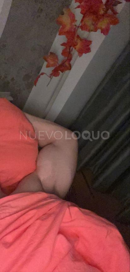 NuevoLoquo3