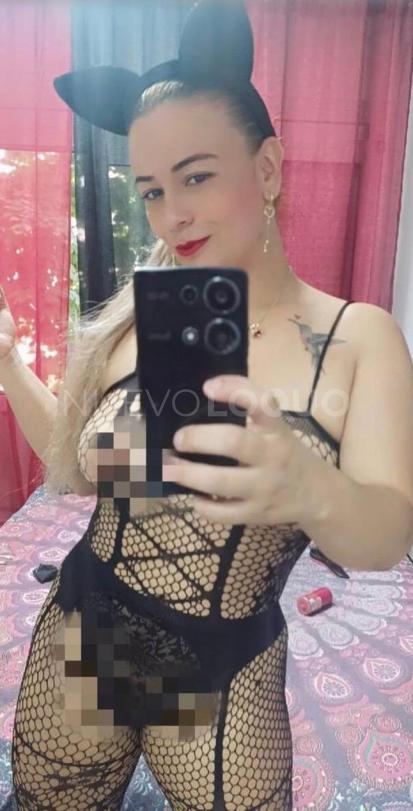 NuevoLoquo3