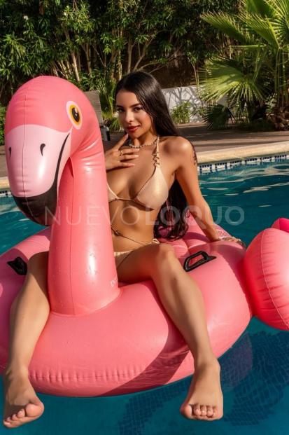 NuevoLoquo1