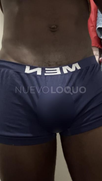 NuevoLoquo1