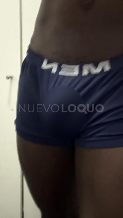 NuevoLoquo3
