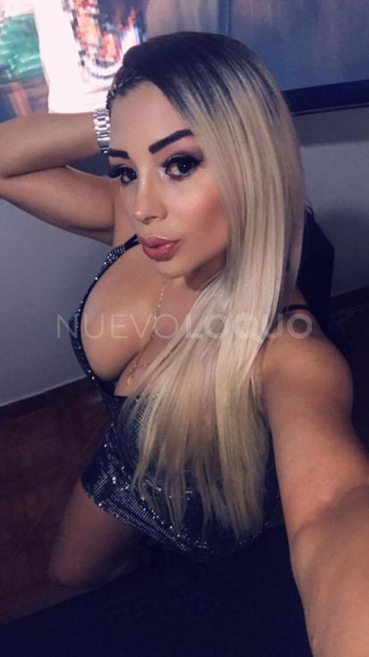 NuevoLoquo3