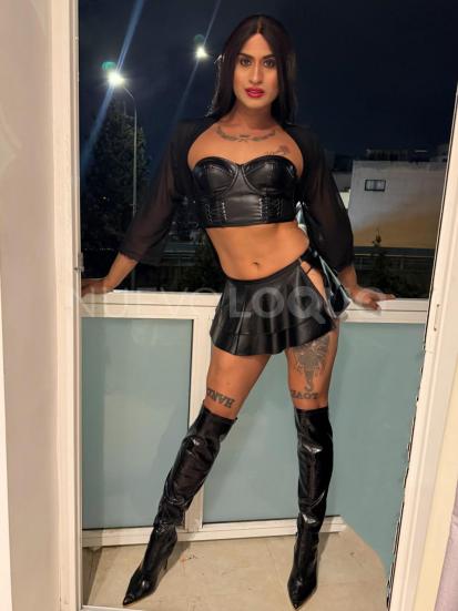 NuevoLoquo2