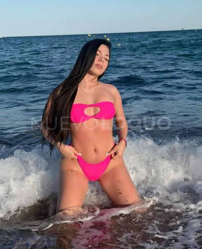 NuevoLoquo3
