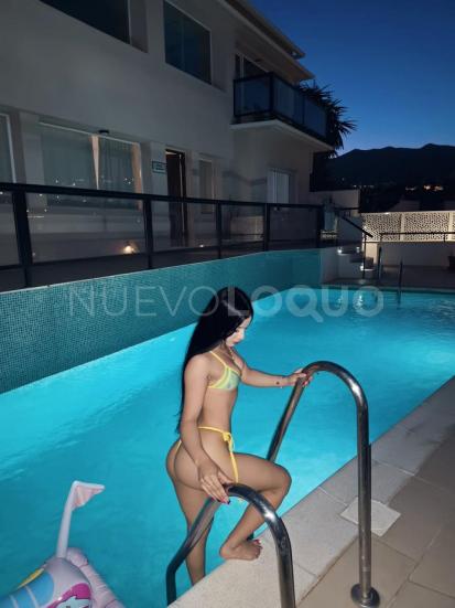 NuevoLoquo3
