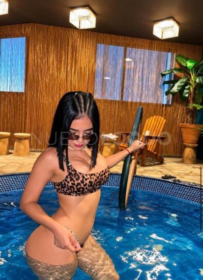 NuevoLoquo1
