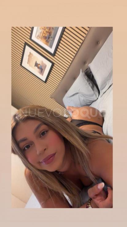 NuevoLoquo3