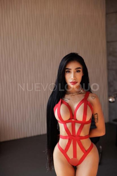 NuevoLoquo5