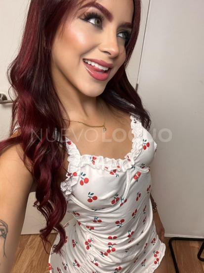 NuevoLoquo4