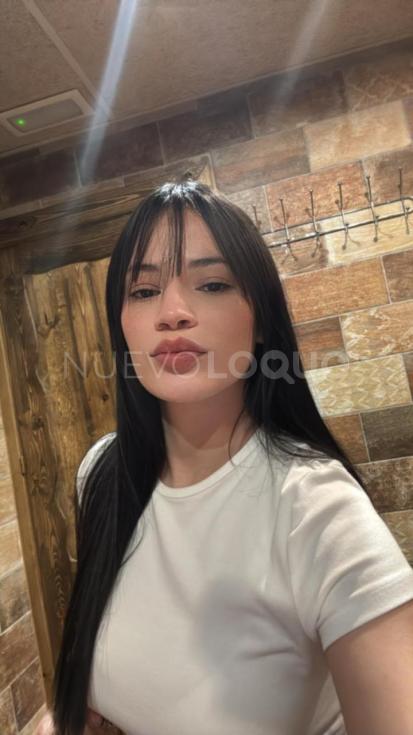 NuevoLoquo3