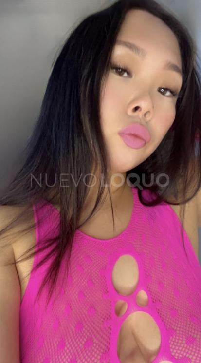 NuevoLoquo2