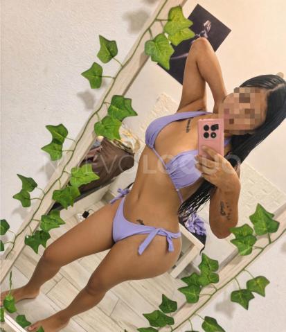 NuevoLoquo2