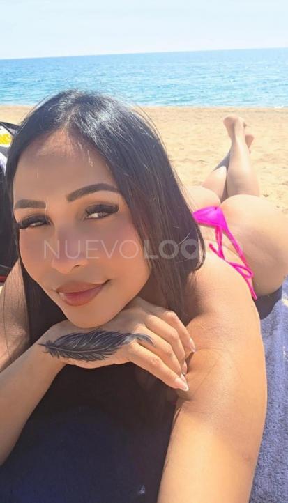 NuevoLoquo3