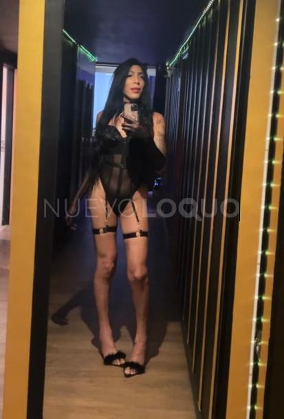 NuevoLoquo1