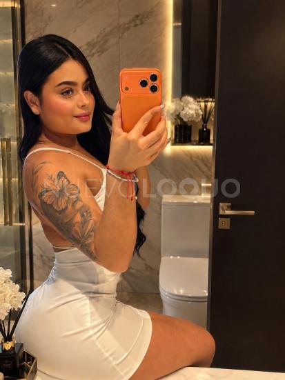 NuevoLoquo3