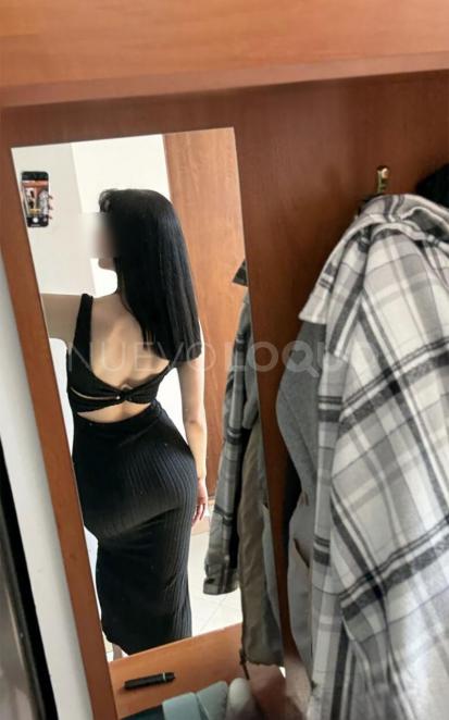 NuevoLoquo3