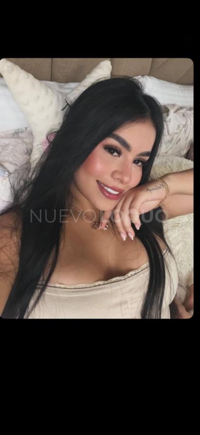 NuevoLoquo1