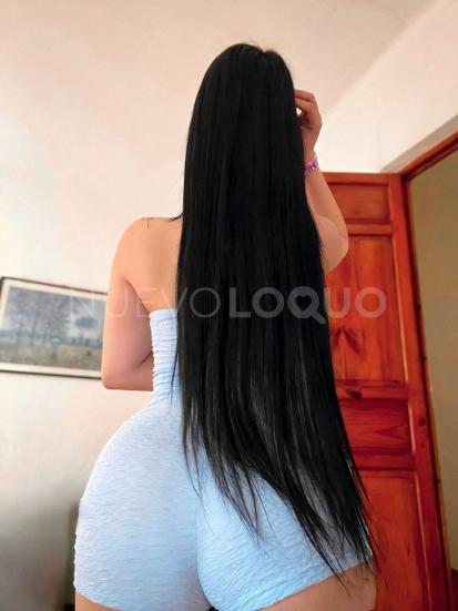 NuevoLoquo2