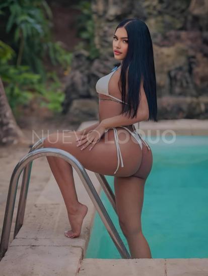 NuevoLoquo1