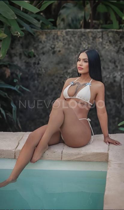 NuevoLoquo2