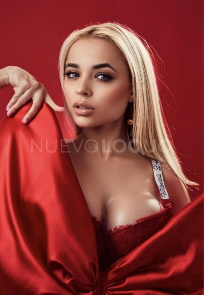 NuevoLoquo1