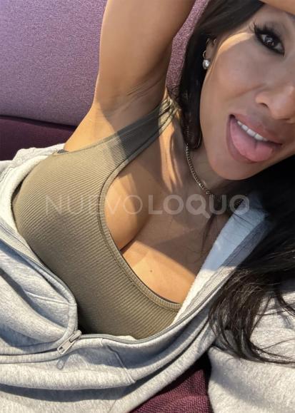 NuevoLoquo1